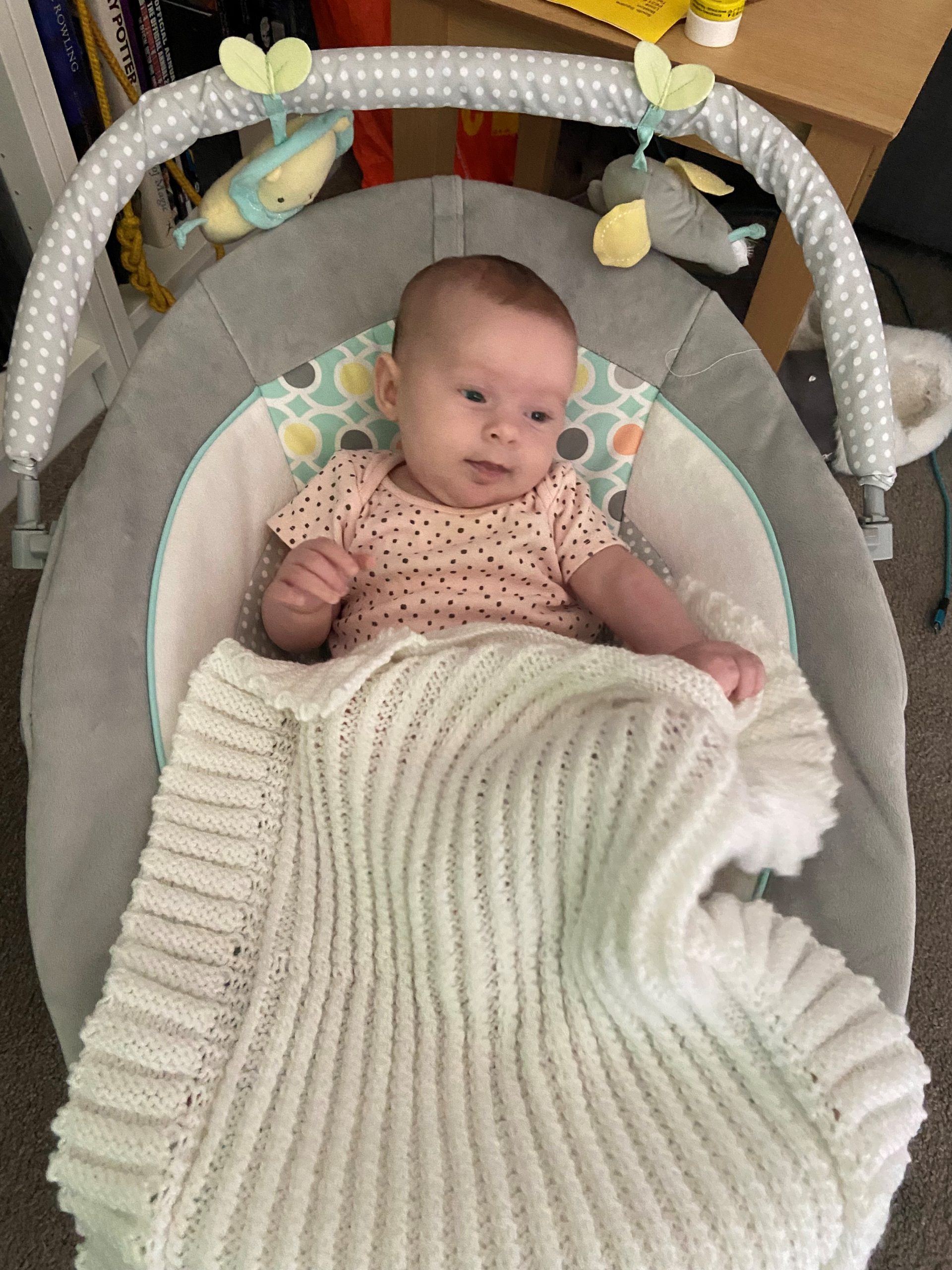 “QUINN” Baby Car Seat | Moses Basket | Chair Blanket - Image 6